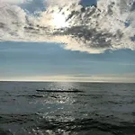 펜션 Am Rotdorn Modern Retreat 프레로